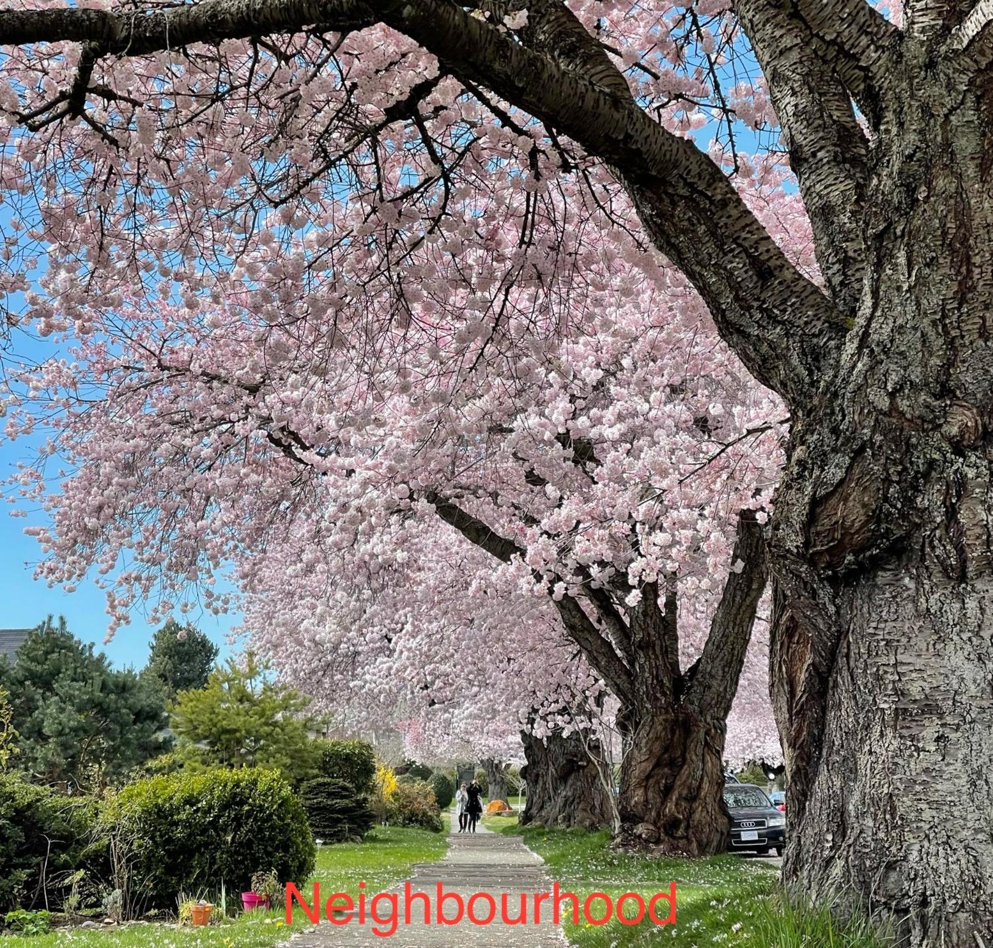 South Vancouver Guesthouse ภายนอก รูปภาพ